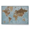 Standard Earth Colors push pin map